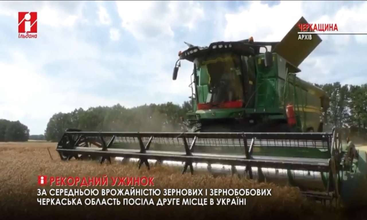 На Черкащині зібрали 2 млн тон зернових: у 2,5 рази більше, ніж торік (ВІДЕО)